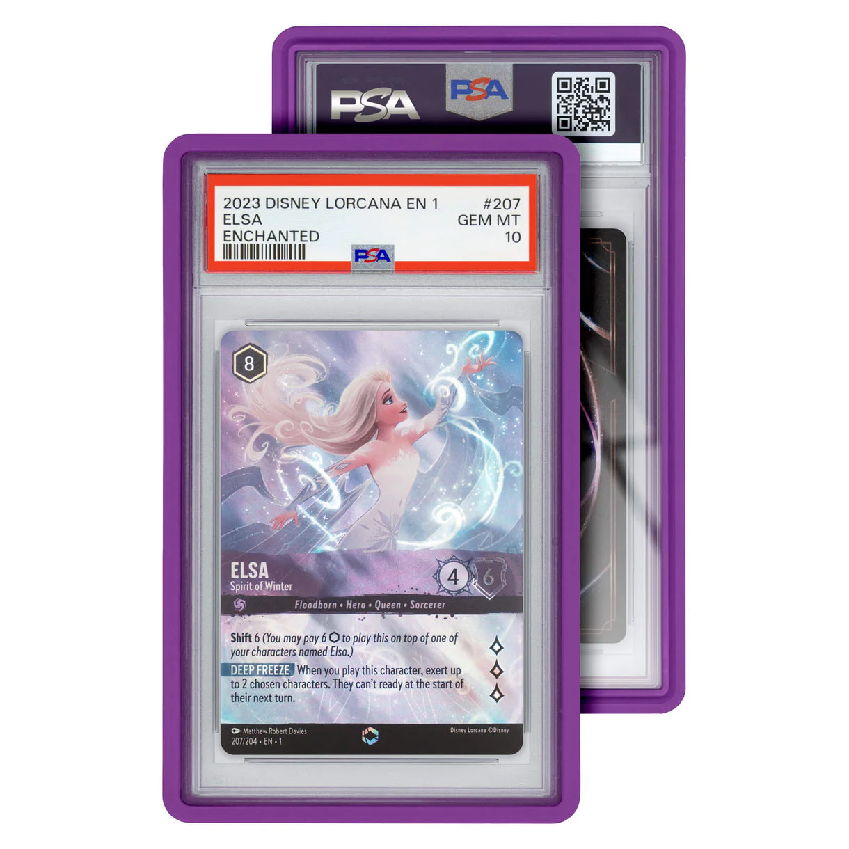 Graded Guard Standard Case (PSA)
